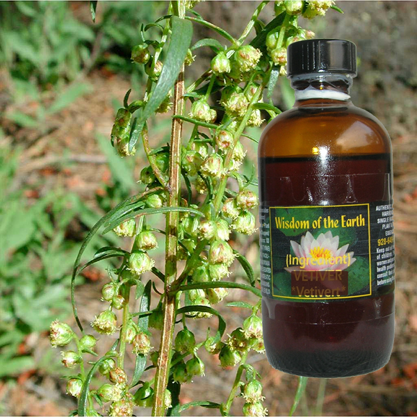 Tarragon 120ml