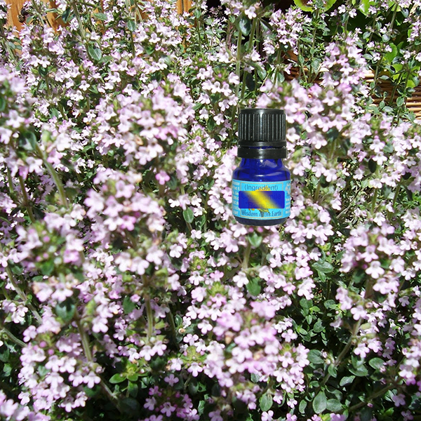 Thyme Gerinol 5ml