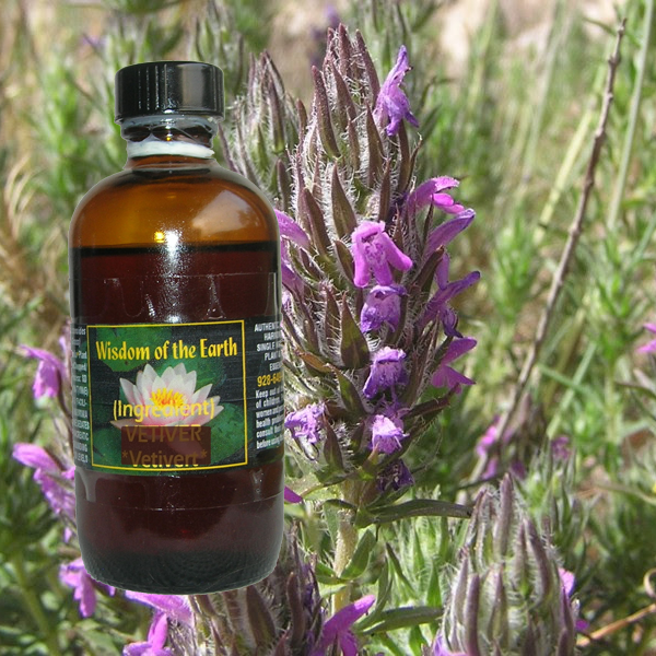 Thyme Spike - 120 ml