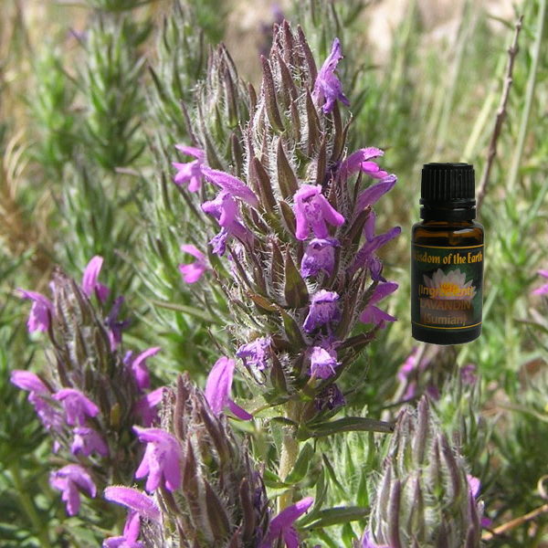 Thyme Spike 15ml