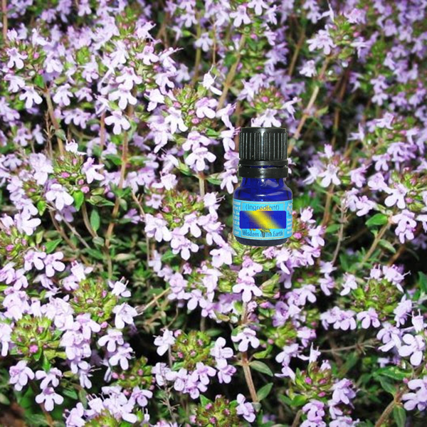 Thyme Thuyanol 5ml