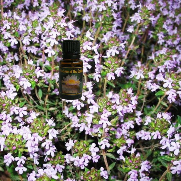 Thyme Thuyanol 15ml