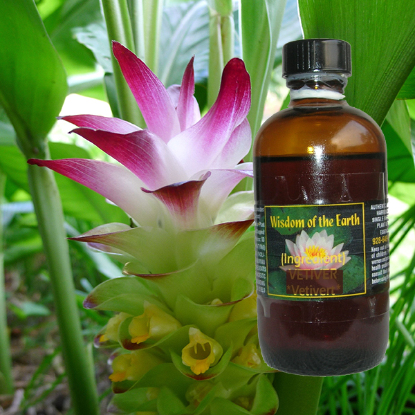 Tumeric 120ml