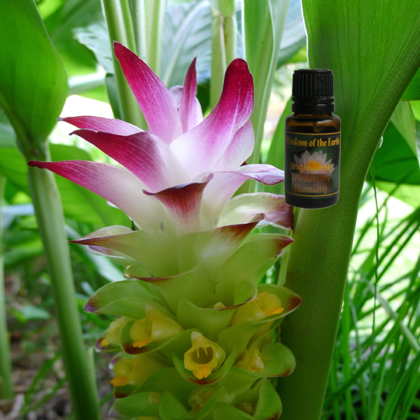 Tumeric 15ml