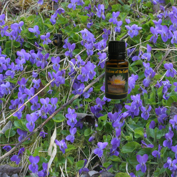Violet  15ml