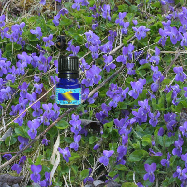 Violet  5ml