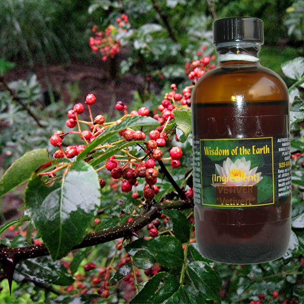 Zanthoxylum 120ml