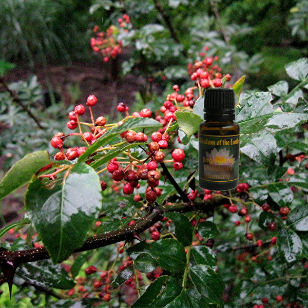 Zanthoxylum 15ml