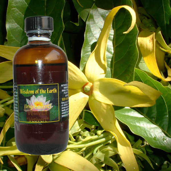 Ylang Ylang 120ml