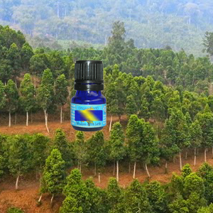 Agarwood 2ml