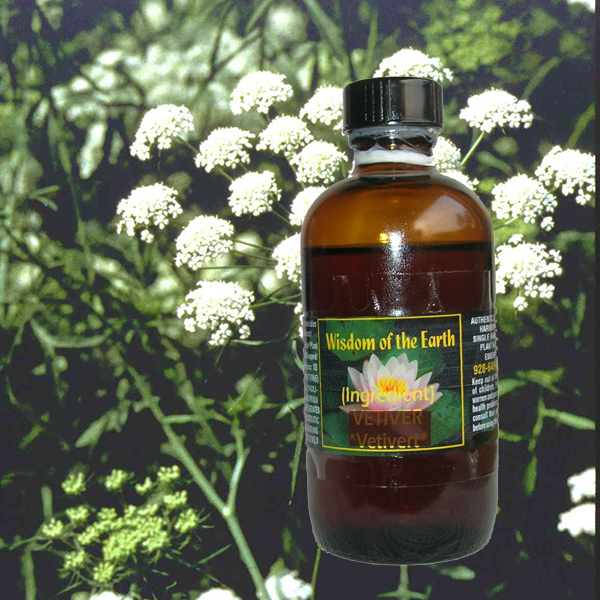 Ajowan 120ml