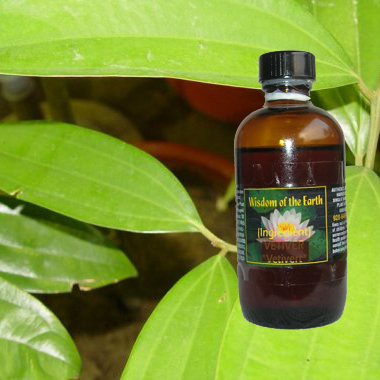 Anise Raven 120 ml