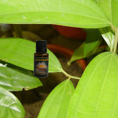 Anise Raven 15ml