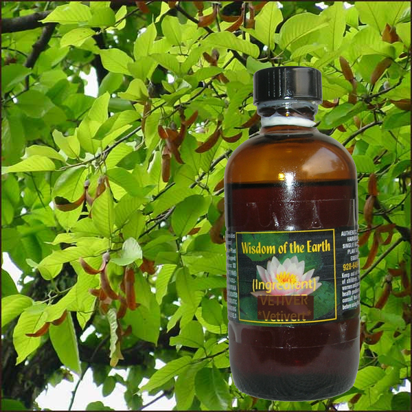 Balsam Gurjun 120ml