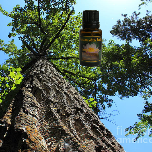 Balsam Peru 15ml