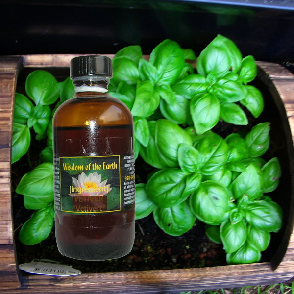 Basil Sweet 120ml