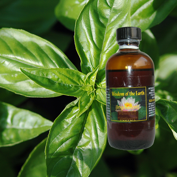 Basil True - 120 ml