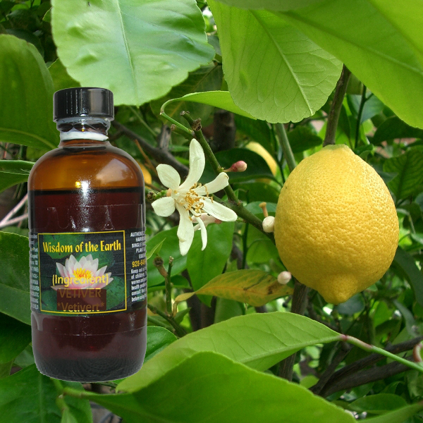 Bergamot 120ml