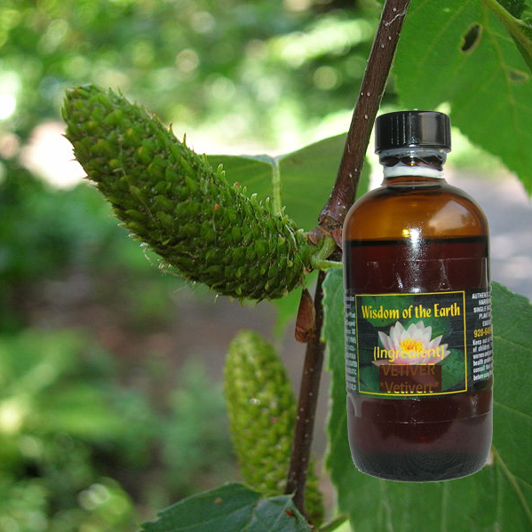 Birch Sweet 120ml