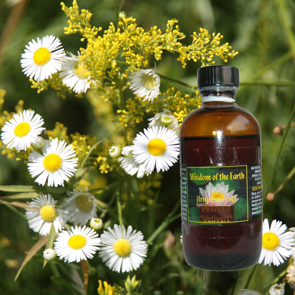 Chamomile Blue - 120 ml