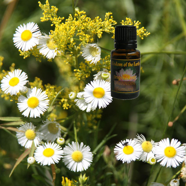Chamomile Blue 15ml