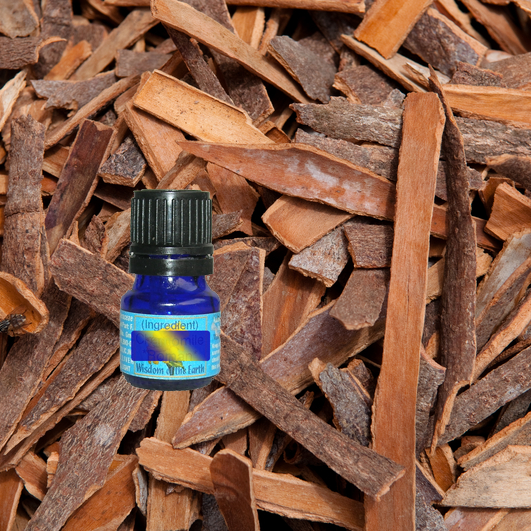 Cinnamon Bark 5ml