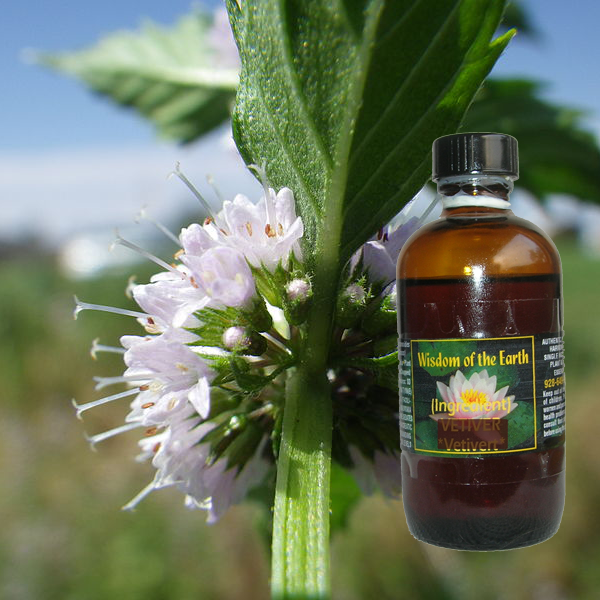 Cornmint 120ml