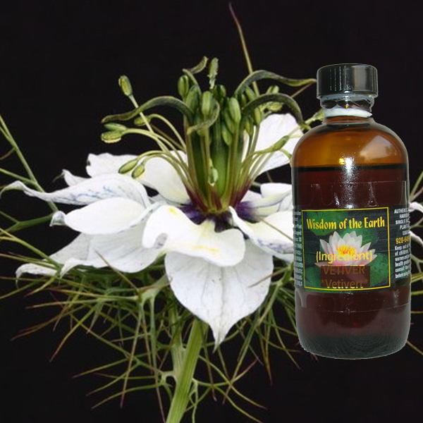 Cumin Black 120ml