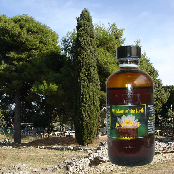 Cypress 120ml
