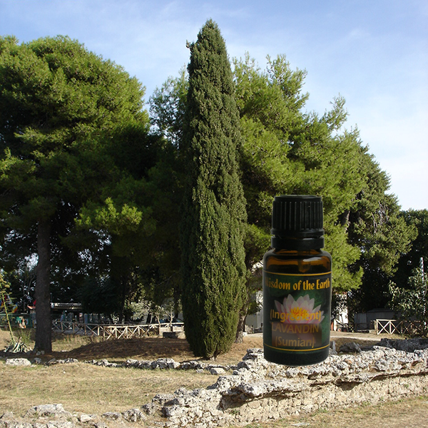 Cypress 15ml