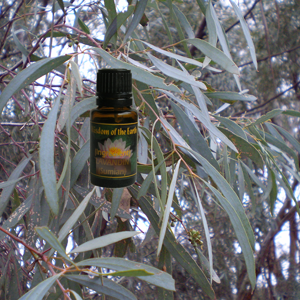 Eucalyptus Blue Malee Cin 15ml