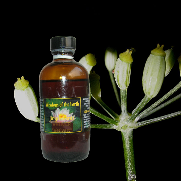 Fennel Sweet 120ml