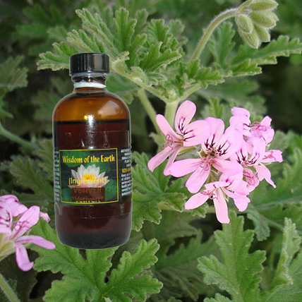 Geranium - 120 ml
