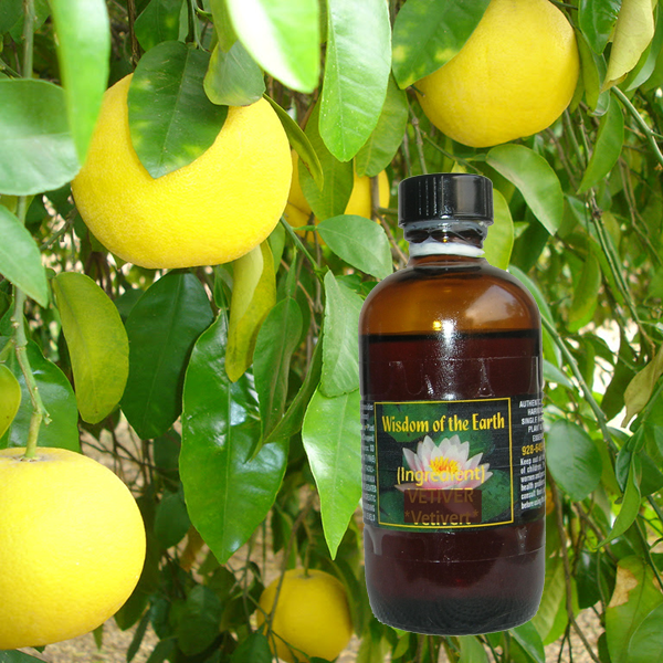 Grapefruit 120ml