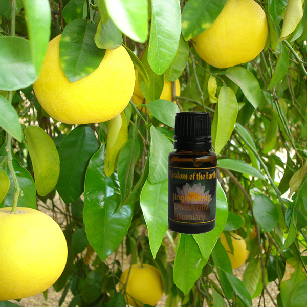 Grapefruit 15ml