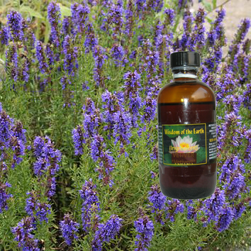 Hyssop Officinalis 120ml