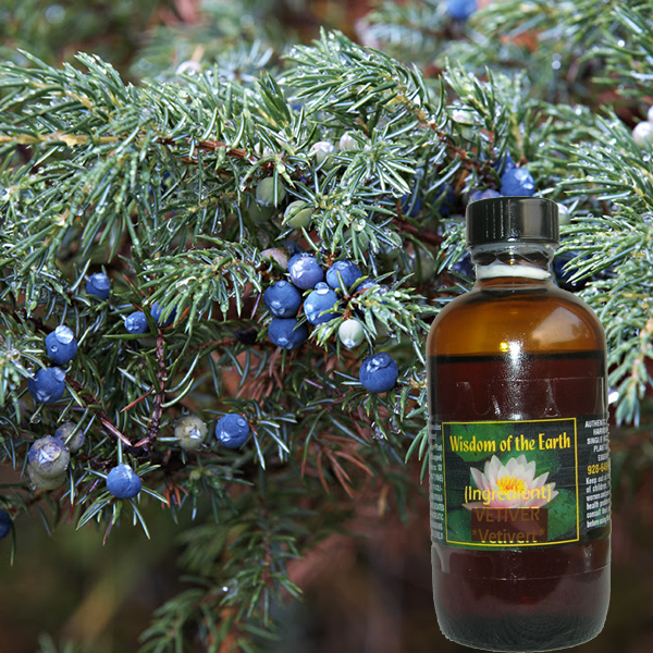 Juniper Berry Albania 120ml (berries only)