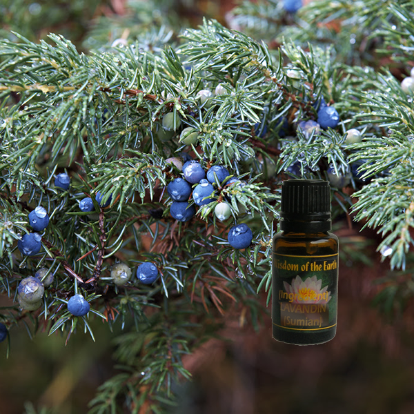 Juniper Berry Albania 15ml (berries only)