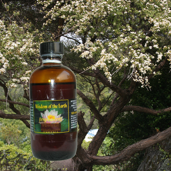 Kanuka 120ml
