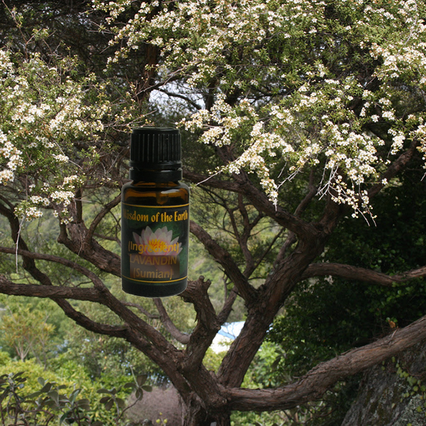Kanuka 5ml