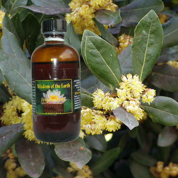 Laurel Leaf 120ml