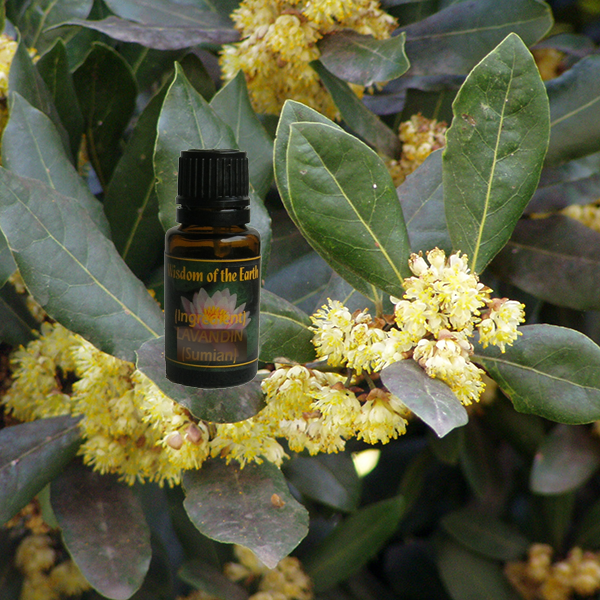 Laurel Leaf 15ml