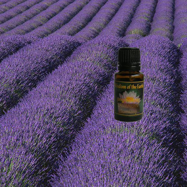 Lavender Fine 15ml