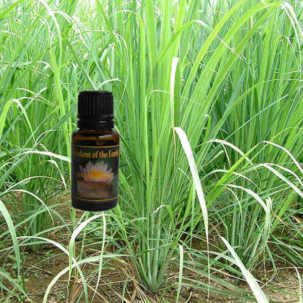 Lemongrass Indian 15ml