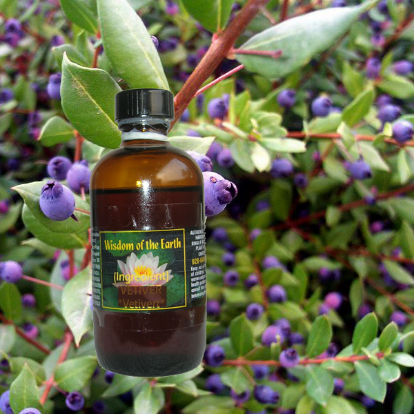 Myrtle Cineoliferum 120ml