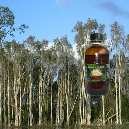 Niaouli MQV 120ml