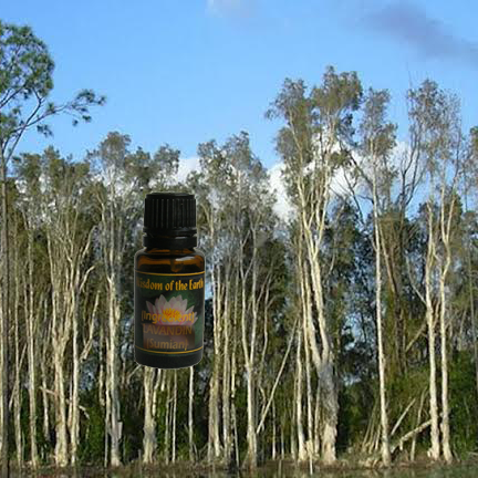 Niaouli MQV 15ml