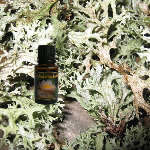 Oak Moss 15ml