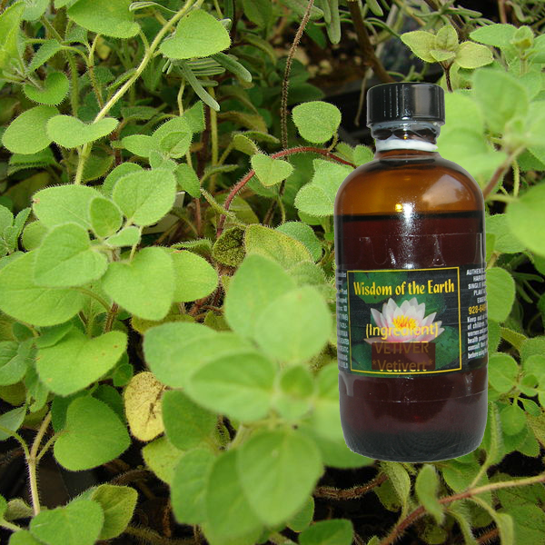 Oregano True 120ml