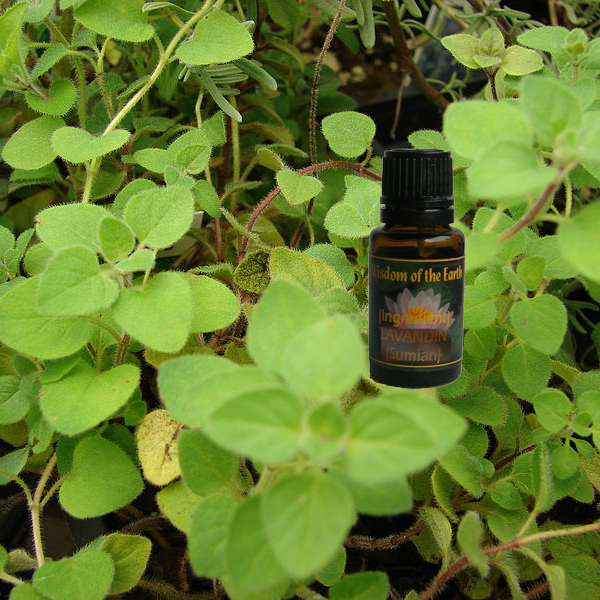 Oregano True 15ml